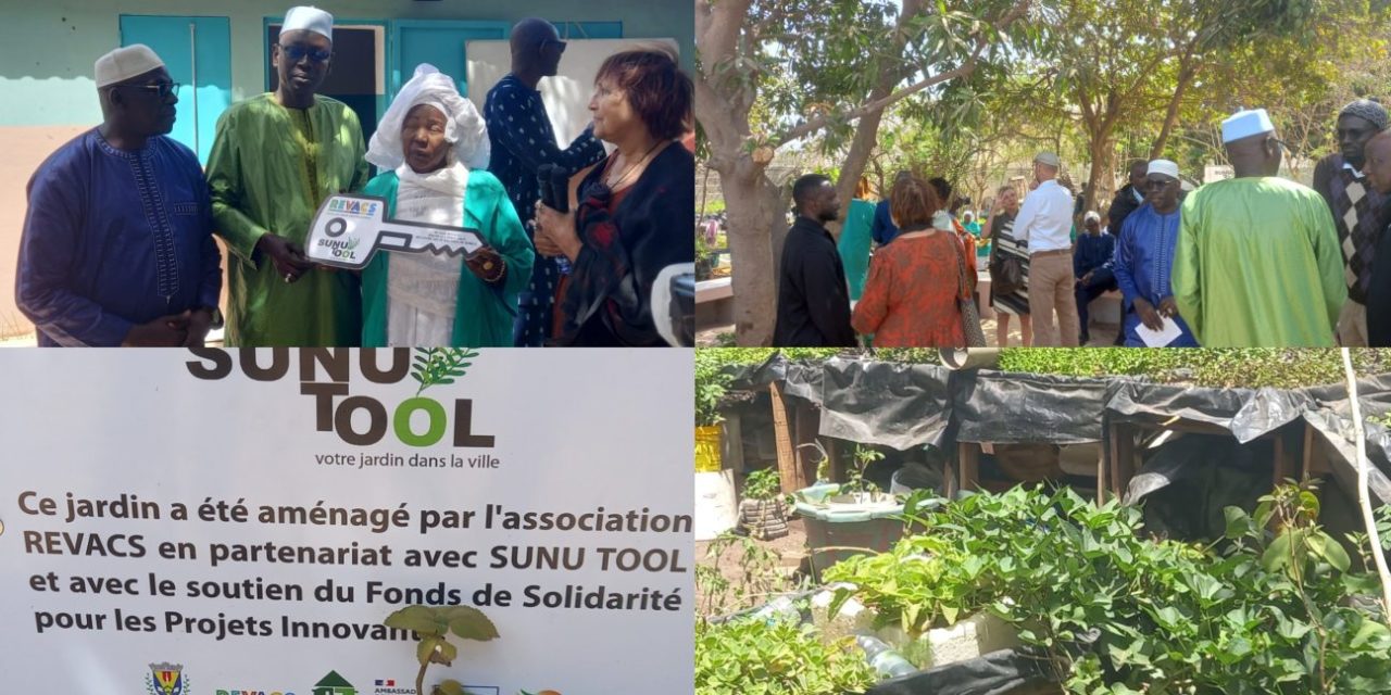 AUTONOMIE ALIMENTAIRE - Le Jardin "Sunu Tool", la promotion de l'agriculture urbaine