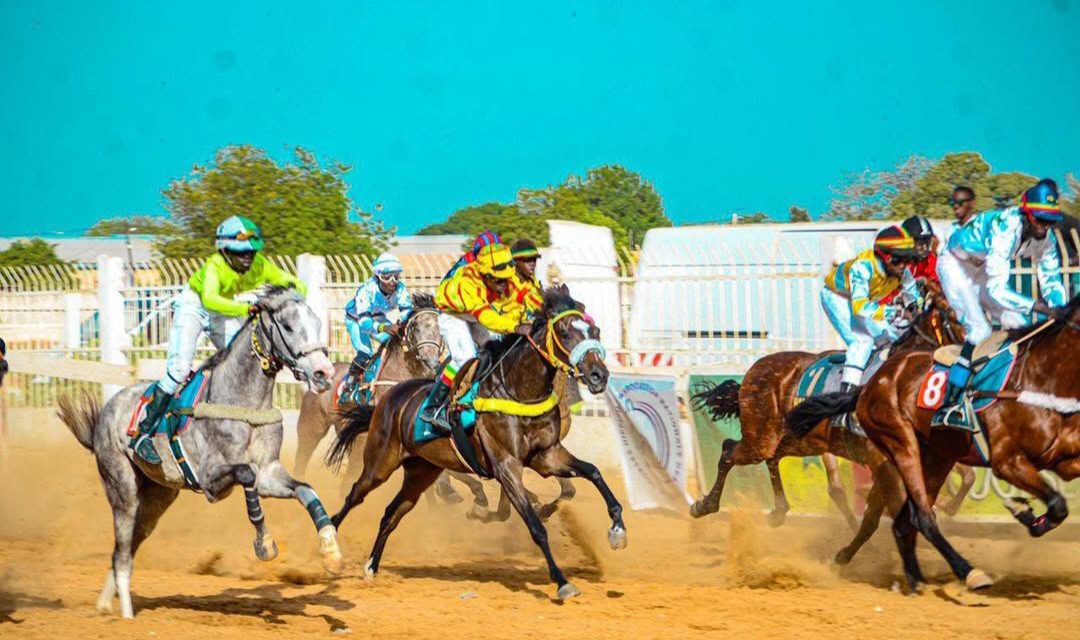 SOULEYMANE DIAGNE VICE-PRÉSIDENT DU CNG DES COURSES HIPPIQUES : "Il faut sanctionner sans état d'âme"