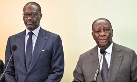 L’Afrique et le cynisme de la double nationalité
