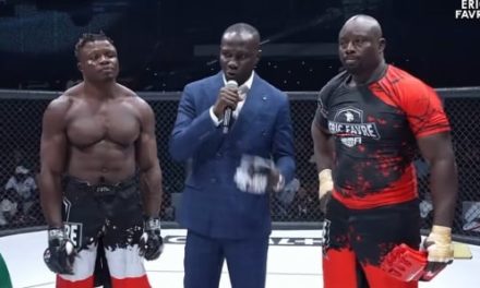 SCANDALE AU MMA - Le ministère des Sports "condamne" Zarco