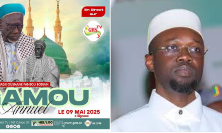 GAMOU ANNUEL - Le PM à Bignona