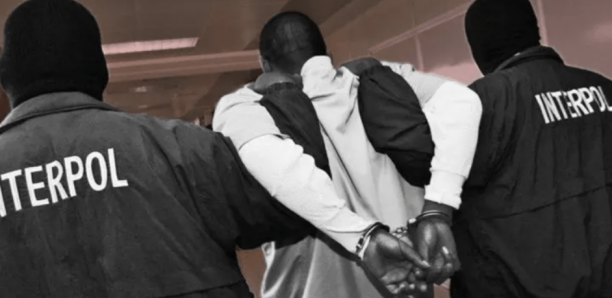 RECHERCHE EN FRANCE - Un franco-Sénégalais arrêté à Dakar par Interpol