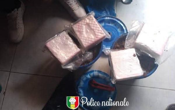 TRAFIC DE DROGUE- Deux étrangers arrêtés par l’OCRTIS avec 4 kg de cocaïne 