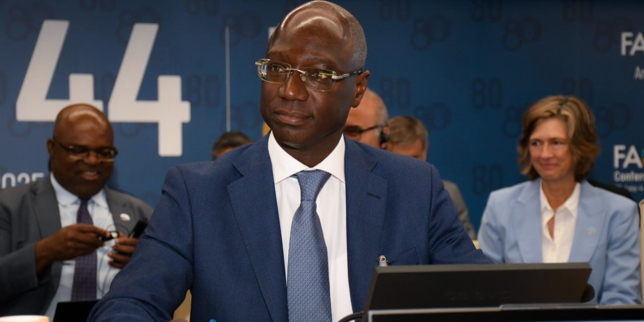 DR MABOUBA DIAGNE, MINISTRE DE L’AGRICULTURE ET DE L’ÉLEVAGE - « Plus de 295 millions de personnes dans 53 pays souffrent d’insécurité alimentaire … »