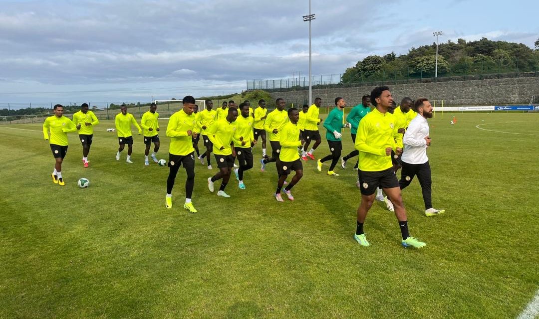 MATCH AMICAL CONTRE L'IRLANDE - Les Lions s'échauffent à Dublin