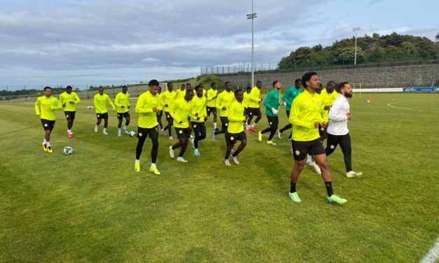 MATCH AMICAL CONTRE L'IRLANDE - Les Lions s'échauffent à Dublin