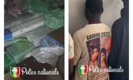 CONTREBANDE MARITIME - 15 individus arrêtés au large de Joal