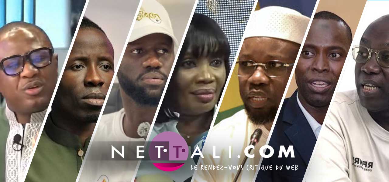 IDIOVISUEL - Les « chroniqueurs », l’arbre qui cache la forêt…