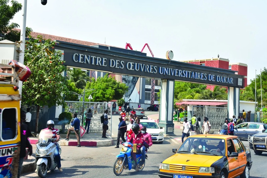 UNIVERSITÉ CHEIKH ANTA DIOP - Un étudiant surpris avec 61 cornets de chanvre indien