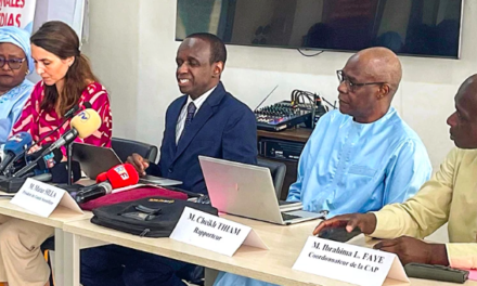 ASSISES NATIONALES DES MÉDIAS - Les grandes lignes du rapport final