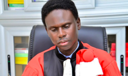 « Pourquoi faut-il censurer le Conseil constitutionnel ? »