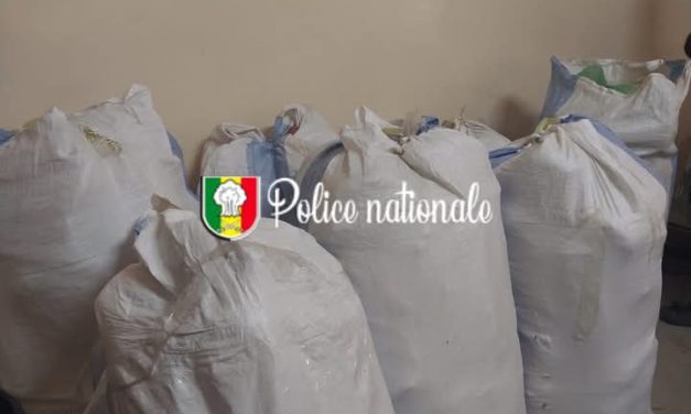 TRAFIC DE DROGUE- 245 kg de chanvre indien interceptés par l’OCRTIS à Fadial