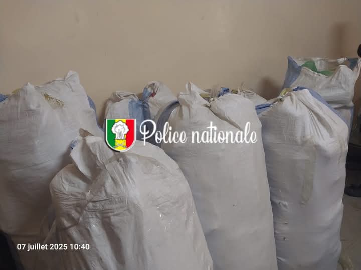 TRAFIC DE DROGUE- 245 kg de chanvre indien interceptés par l’OCRTIS à Fadial