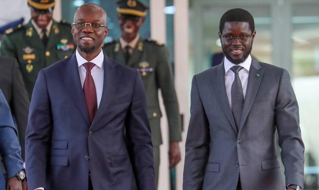 OLIVIER BOUCAL -  "Il n'y a aucun nuage entre Ousmane Sonko et Diomaye"