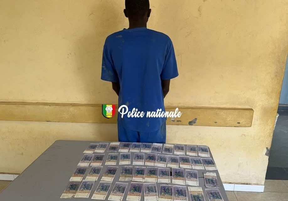 SURPRIS AVEC DE FAUX BILLETS - Il plonge dans le fleuve avant d’être interpellé