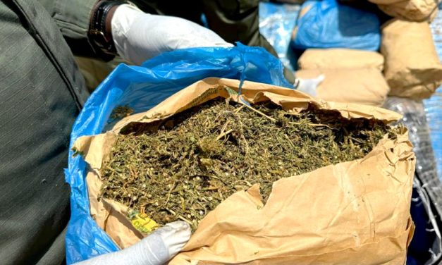 KOLDA - L'OCRTIS saisit 47 kg de chanvre indien abandonnés après une course-poursuite