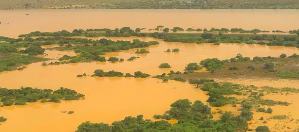 FLEUVE GAMBIE - Plusieurs stations proches de la cote d’alerte