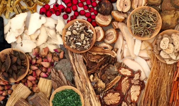 PHARMACOPÉE TRADITIONNELLE - Le Sénégal prépare deux arrêtés d’application de la loi de 2023