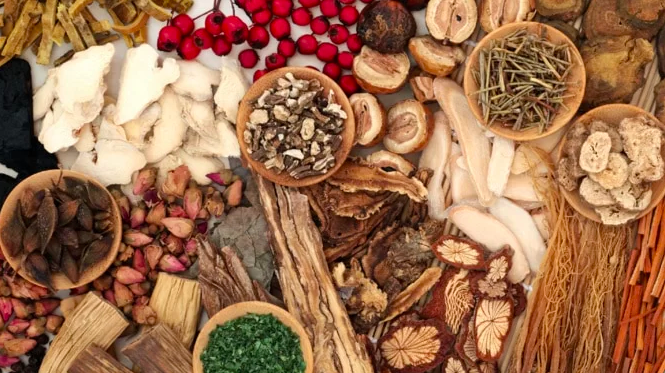 PHARMACOPÉE TRADITIONNELLE - Le Sénégal prépare deux arrêtés d’application de la loi de 2023