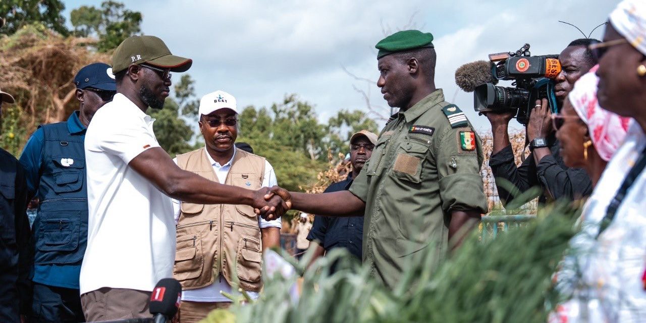 ENVIRONNEMENT - Le président Diomaye Faye lance le challenge “Un million d’arbres en 48 heures” à Mbao