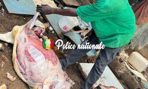 DIAMAGUEUNE SICAP MBAO - Un homme interpellé pour maltraitance animale et vente de viande impropre à la consommation
