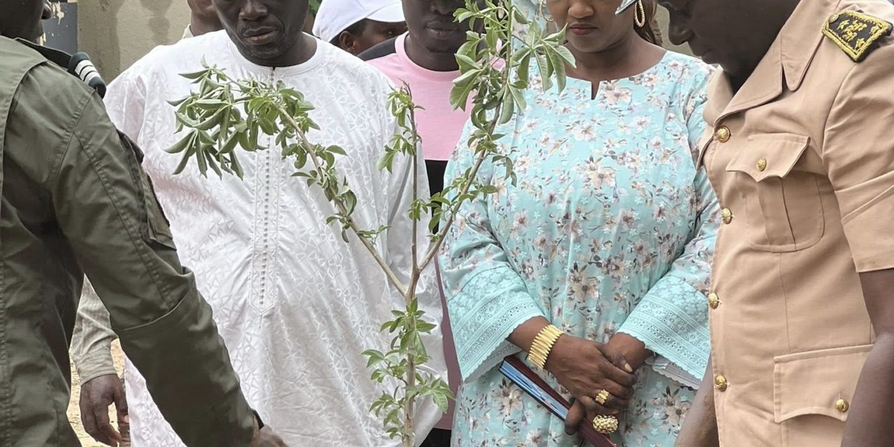 "DEGAGE DE LA" – Serigne Mboup proteste vigoureusement contre le Préfet de Kaolack