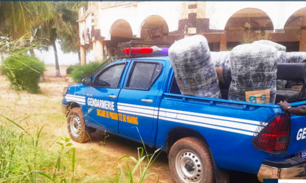 AXE KEUR MASSAR-MBOUR - ‎ La Gendarmerie saisit 8 tonnes de denrées impropres et près d’une demi-tonne de chanvre indien