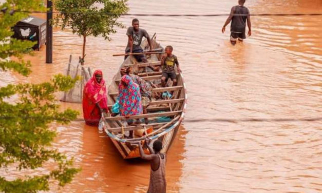 MONTÉE DES EAUX DU FLEUVE SÉNÉGAL - Des risques de débordement annoncés