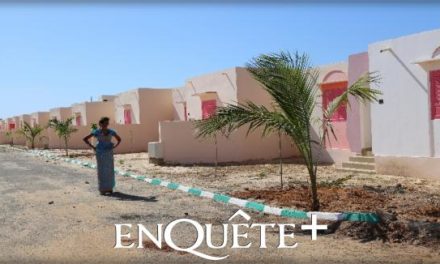 ACCÈS À L’HABITAT - Logement social ou arnaque sociale ?