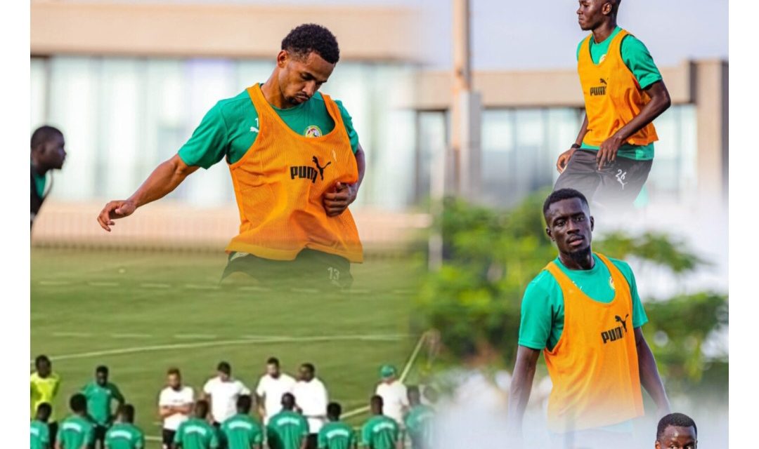 DEUXIÈME GALOP DES LIONS - Abdou Diallo vers le forfait