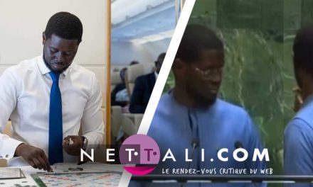 COUPS DE PILON - Cafouillage au sommet !