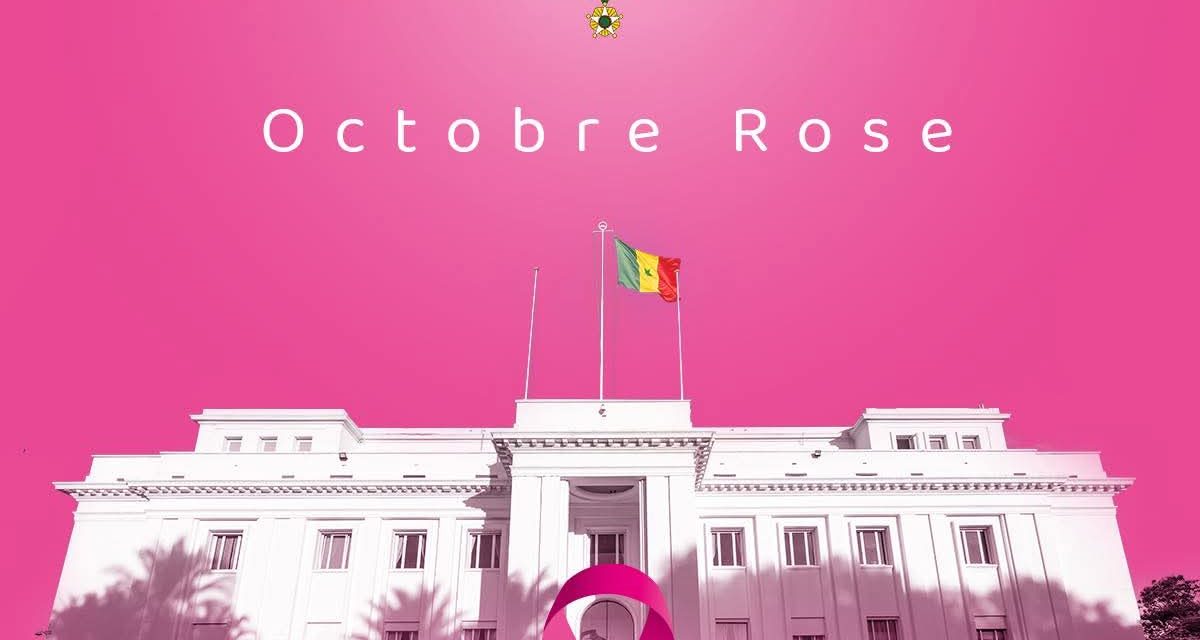 SANTÉ - Le Président sonne la mobilisation contre la fièvre de la vallée du Rift et le cancer du sein