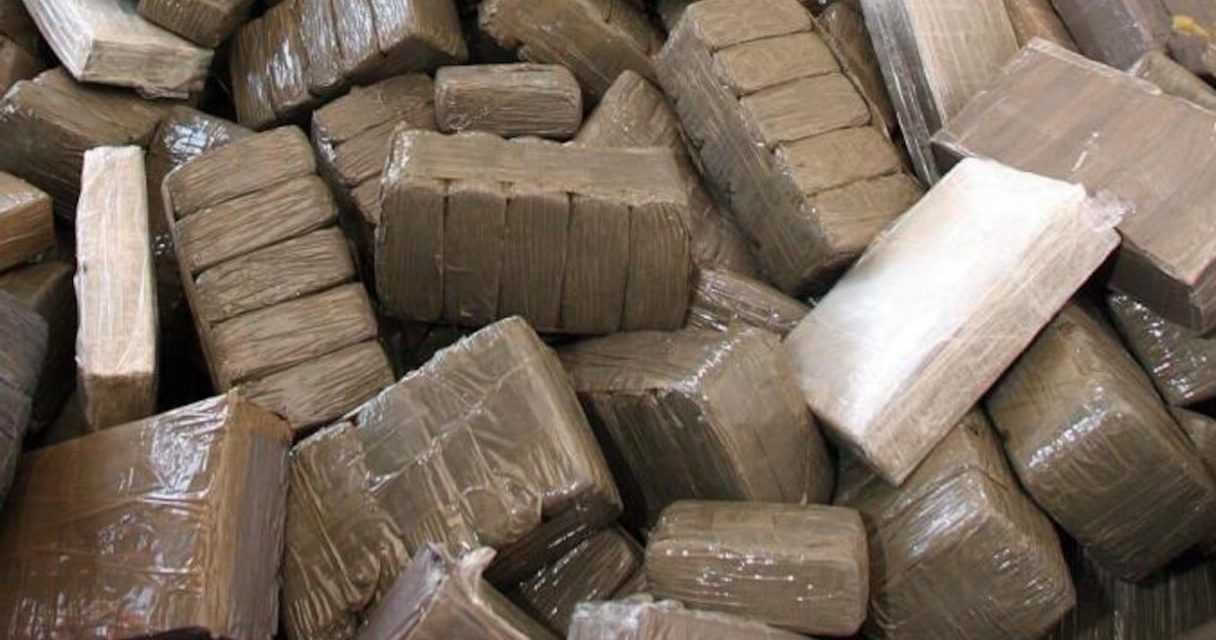 TRAFIC DE DROGUE - 25 kg de haschisch saisis à Pikine Technopole, trois individus arrêtés