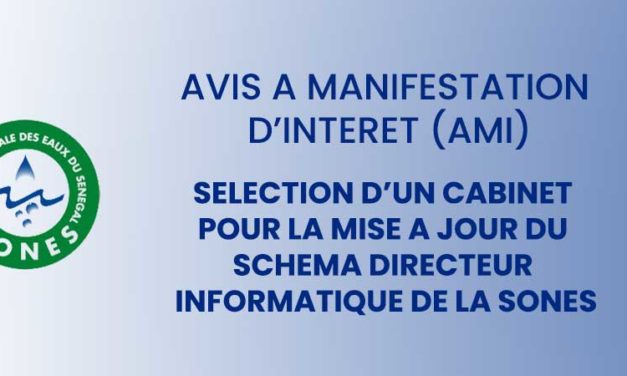 SONES - Sélection d’un cabinet pour la mise a jour du schéma directeur informatique de la SONES