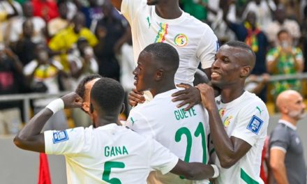 BASSIROU DIOMAYE FAYE AUX LIONS - "Vous nous avez rendus extrêmement fiers"