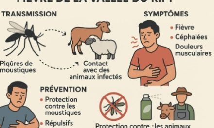 SITUATION ÉPIDÉMIOLOGIQUE FIÈVRE DE LA VALLÉE DU RIFT- 258 chez les personnes et 160 chez les animaux