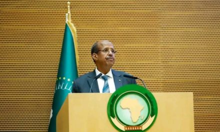 SITUATION AU MALI - L’Union africaine tire la sonnette d’alarme