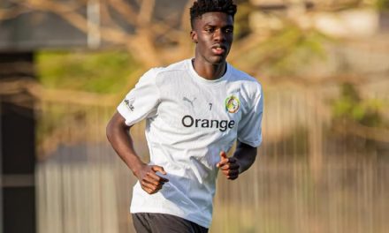 ÉQUIPE NATIONALE - Forfait, Assane Diao quitte la Tanière