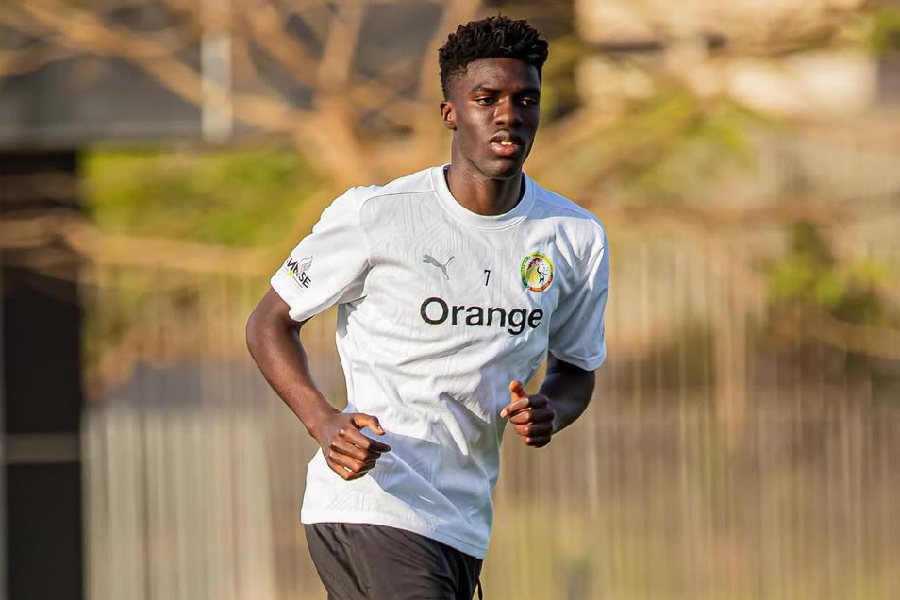 ÉQUIPE NATIONALE - Forfait, Assane Diao quitte la Tanière