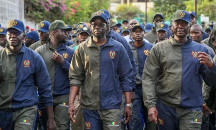 FORCES ARMÉES - Le président Diomaye Faye signe un nouveau décret fixant les conditions d’engagement