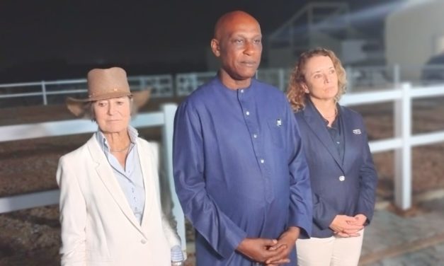 ÉQUITATION/FINALE WORLD JUMPING CHALLENGE - Élimane Sarr et Arnaud Rosière, les espoirs sénégalais