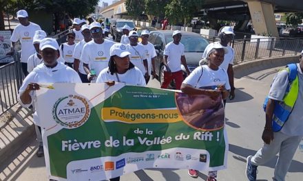 FIÈVRE DE LA VALLÉE DU RIFT - L'Amicale des travailleurs du ministère de l'agriculture et l'élevage se dresse contre l'épidémie