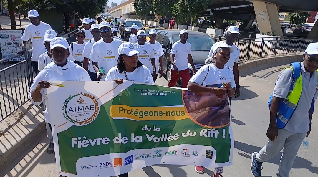 FIÈVRE DE LA VALLÉE DU RIFT - L'Amicale des travailleurs du ministère de l'agriculture et l'élevage se dresse contre l'épidémie