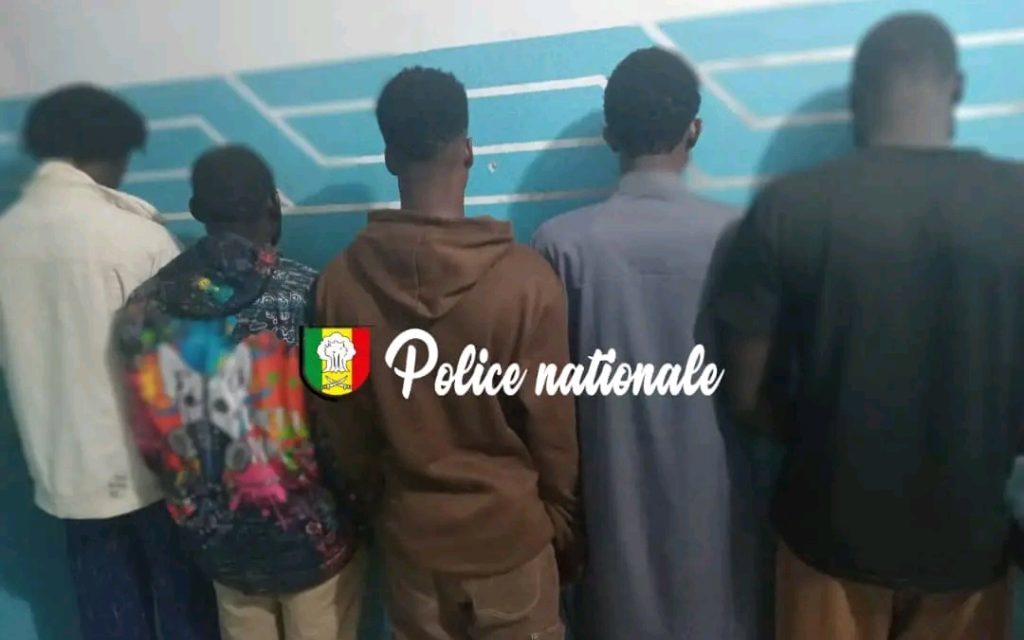 THIÈS - ACTES CONTRE NATURE, QUARTIER ESCALE - Cinq individus arrêtés