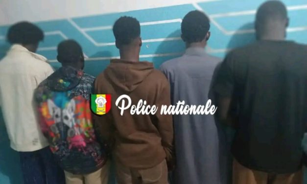 THIÈS - ACTES CONTRE NATURE, QUARTIER ESCALE - Cinq individus arrêtés