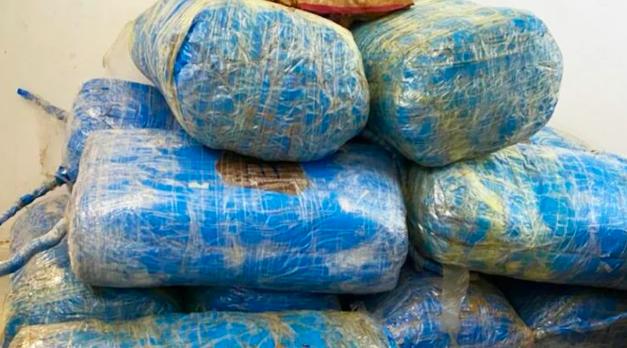 FATICK - 217 kilos de chanvre indien saisis à Dioffior