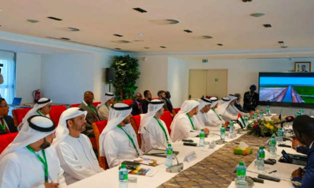 COOPÉRATION RENFORCÉE - Une délégation des Émirats Arabes Unis en visite à Dakar
