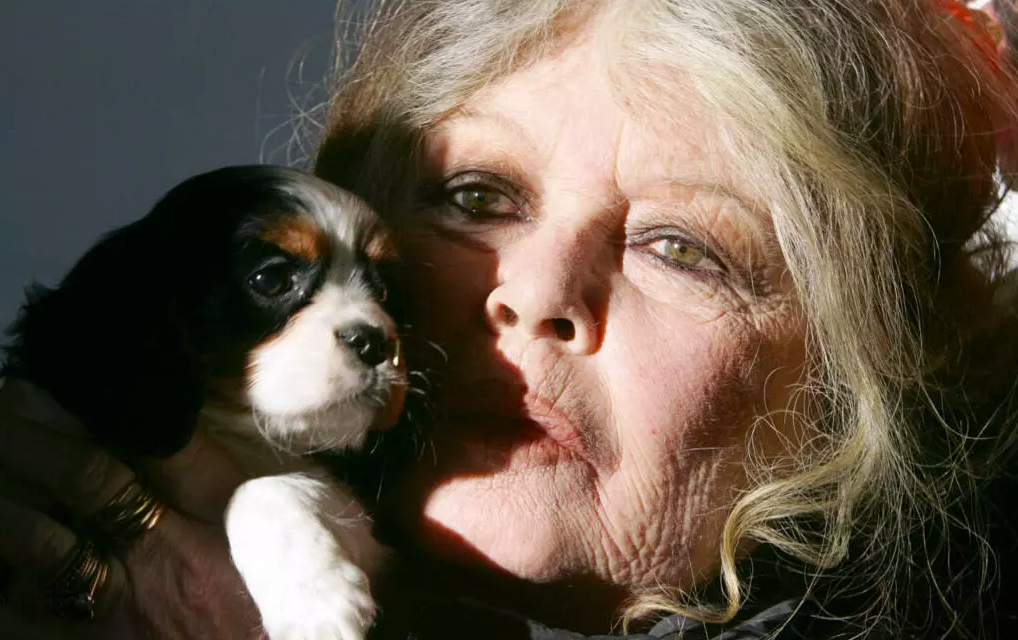 FRANCE - Décès de Brigitte Bardot