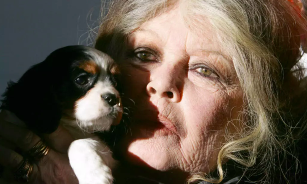 FRANCE - Décès de Brigitte Bardot