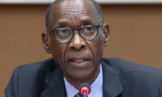 DIPLOMATIE SÉNÉGALAISE : Cheikh Niang prône l’unité nationale au service des intérêts du Sénégal